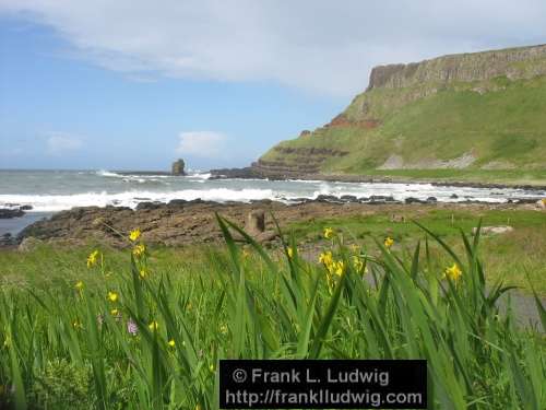 Giant's Causeway